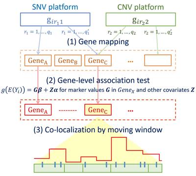 An Integrative Co-localization (INCO) Analysis for SNV and CNV Genomic Features With an Application to Taiwan Biobank Data